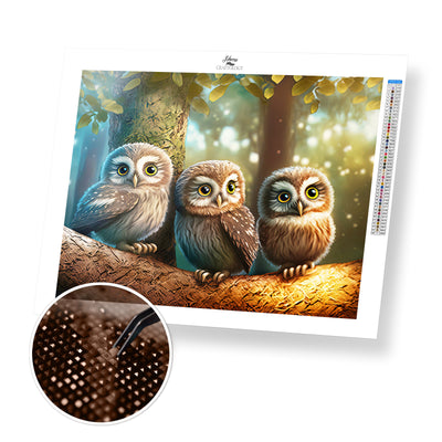 3 Cute Owls - Premium Diamond Painting Kit