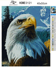 Load image into Gallery viewer, Fierce Eagle - Premium 5D Poured Glue Diamond Painting Kit
