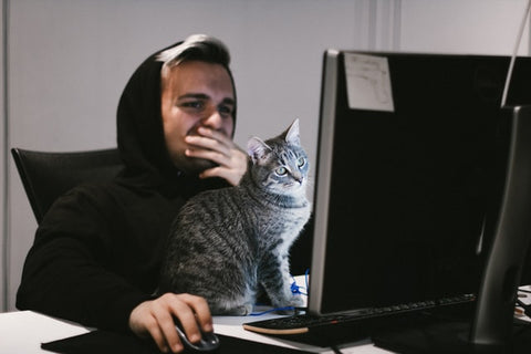 Cat work from home