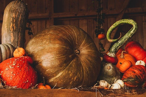 Fall arrangement of pumpkins