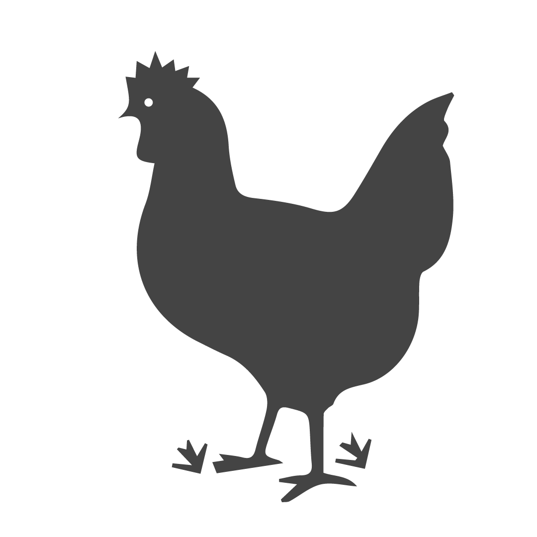 Pollo Criado en Pasto