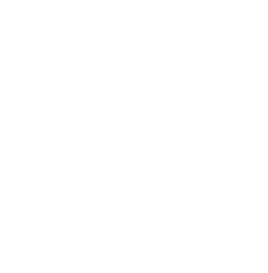 Boxing Week Blowout Starts Now!