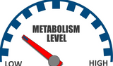 Metabolism chart low to high