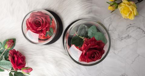 Two red everlasting roses in crystal domes