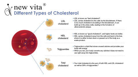 types of cholesterol