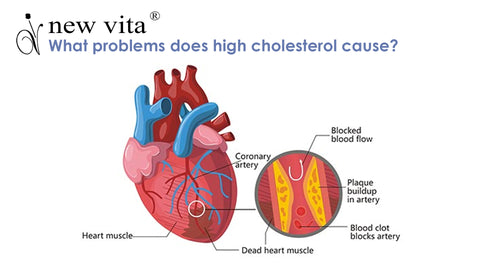problem of high cholesterol