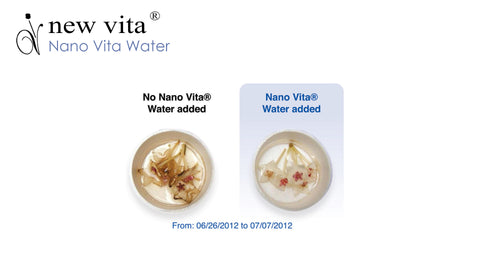 Nano Vita Water cell detoxification