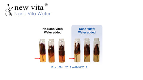 Nano Vita Water cell detoxification