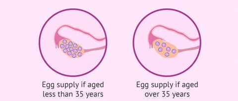 Primary ovarian insufficiency