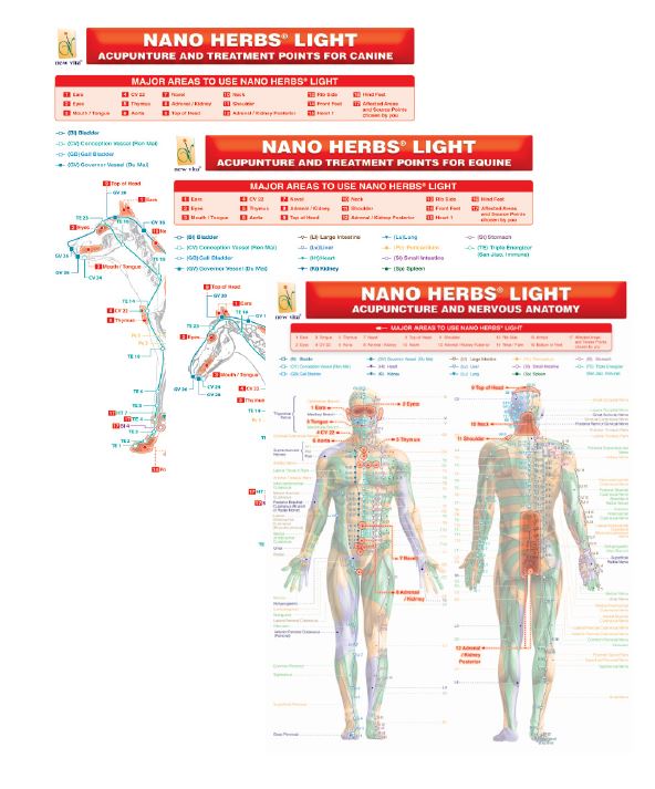 Chinese Medicine Book - Artificial Intelligence in Chinese Medicine ...