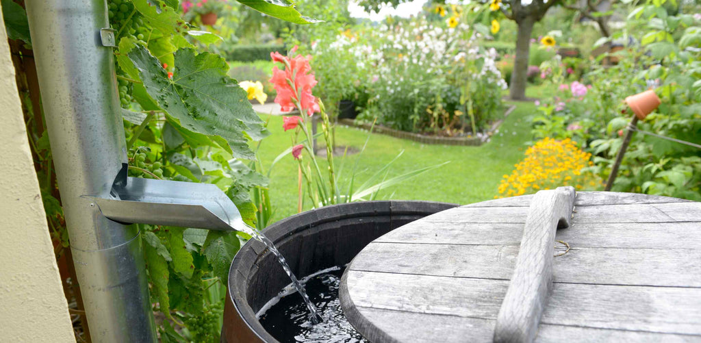 How to build a rain barrel