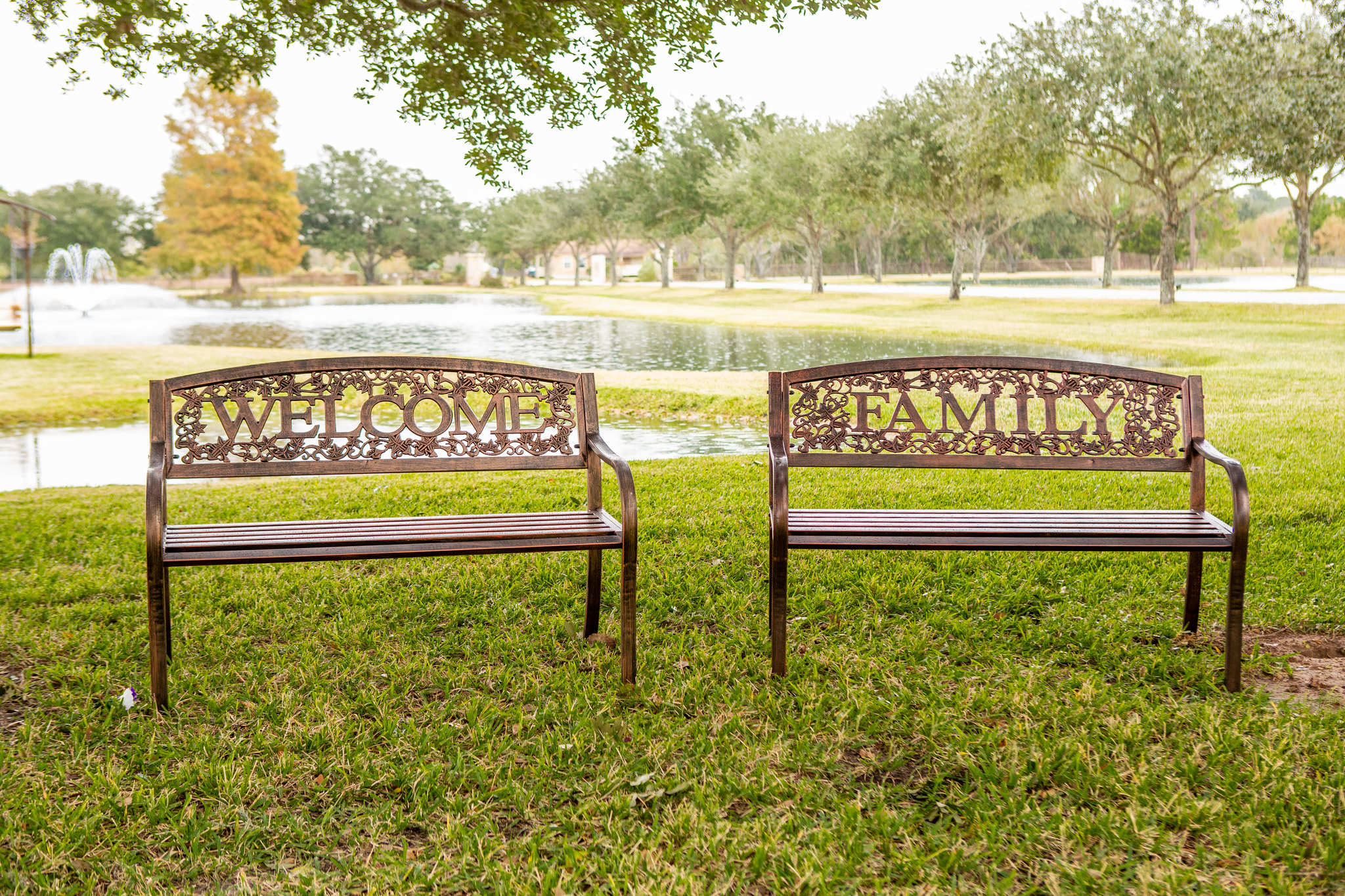 Metal Benches on grass