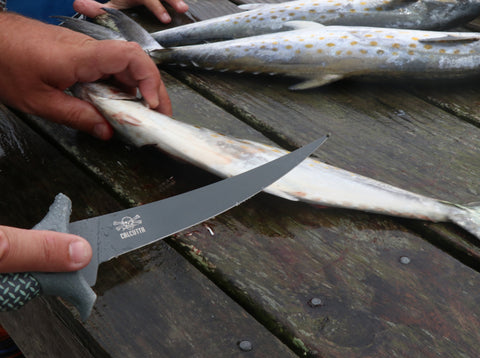  Fisherman cleaning Spanish mackerel with a Calcutta Outdoors fillet knife