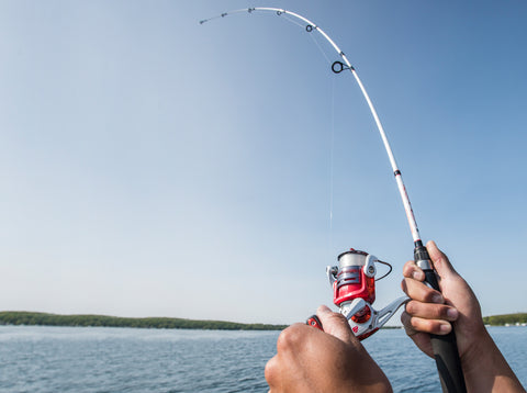 Reeling in a fish with a freshwater spinning combo