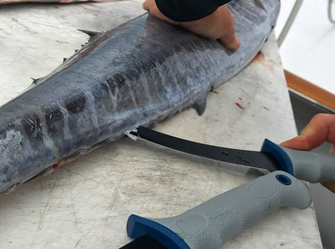How to Fillet a Wahoo