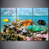 3 Panel Coral Reef HQ Leinwandbild Gemälde MIT RAHMEN