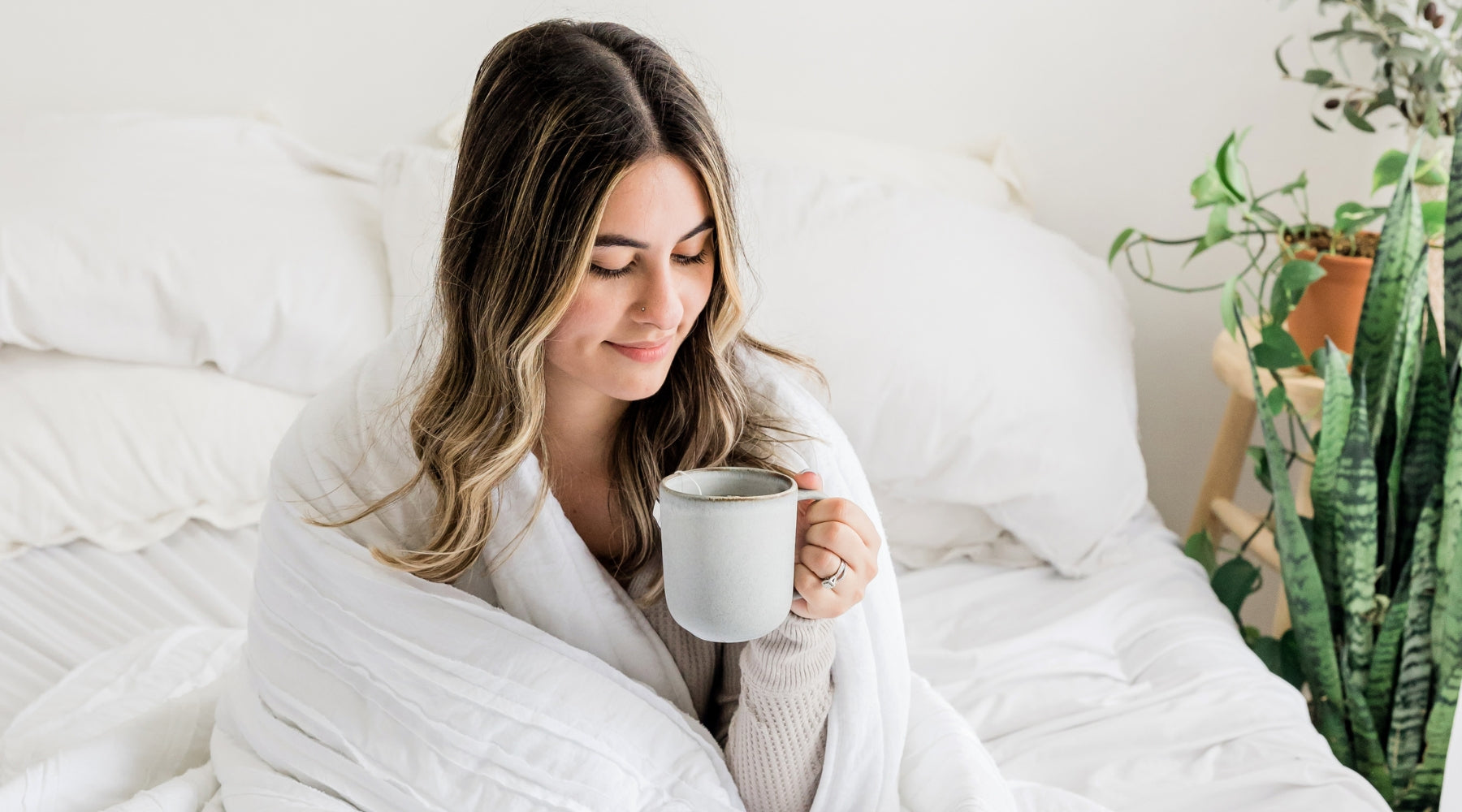 What Teas Are Good For Sleep? Get expert product recommendations.