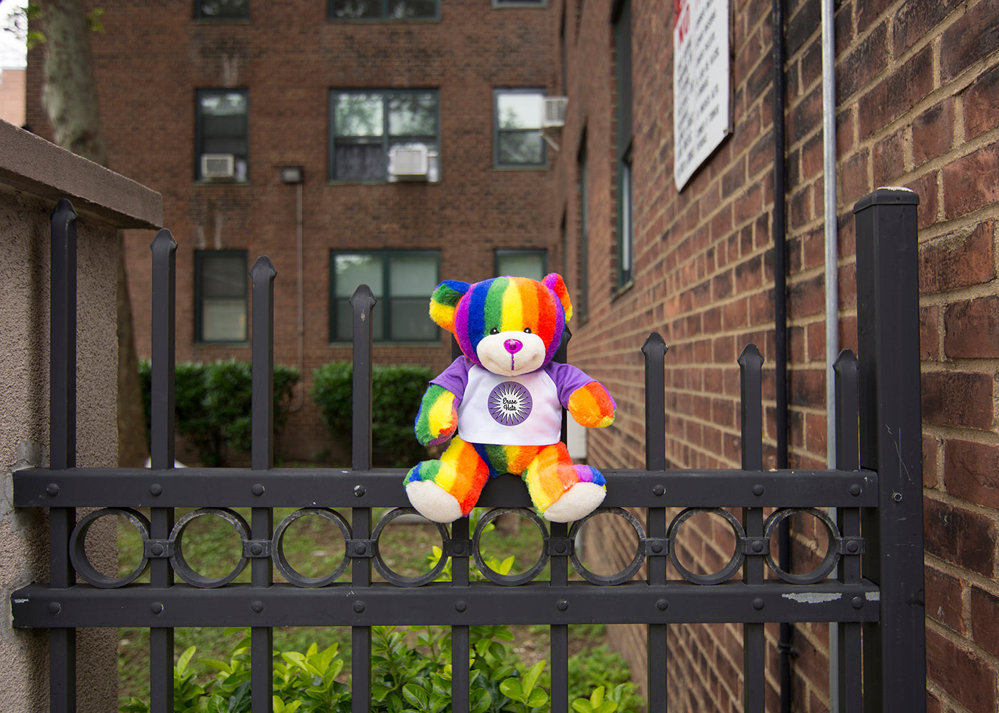 Bear Buggy®'s Totally Pride Bear photographed at Harlem location of Ali Forney's murder