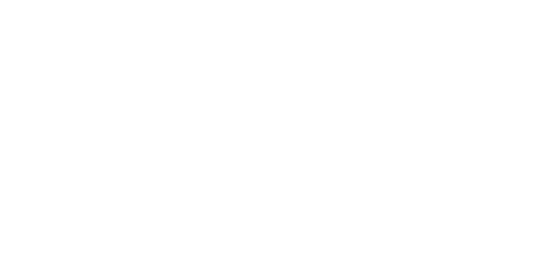 the bicycle collective