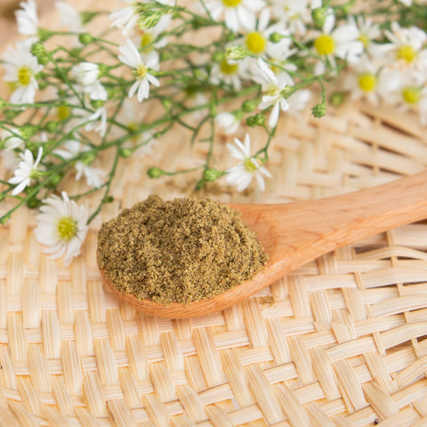 Mayella Sunshine & Hemp Protein Blend on a wooden teaspoon with white flowers in background