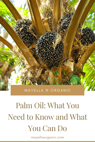 Palm Oil: What You Need to Know and What You Can Do - Mayella Organics