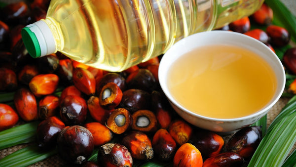 small bown of palm oil surrounded by oil palm fruit and a plastic bottle filled with palm oil