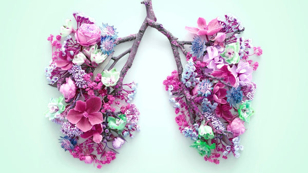 An artistic photo showing the shape of the lungs with branches and flowers. One main branch comes through the centre and splits into two then pink and purple flowers have been placed on either side in the shape of the lungs.