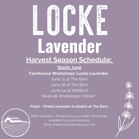 2022 Locke Lavender Seasonal Workshops