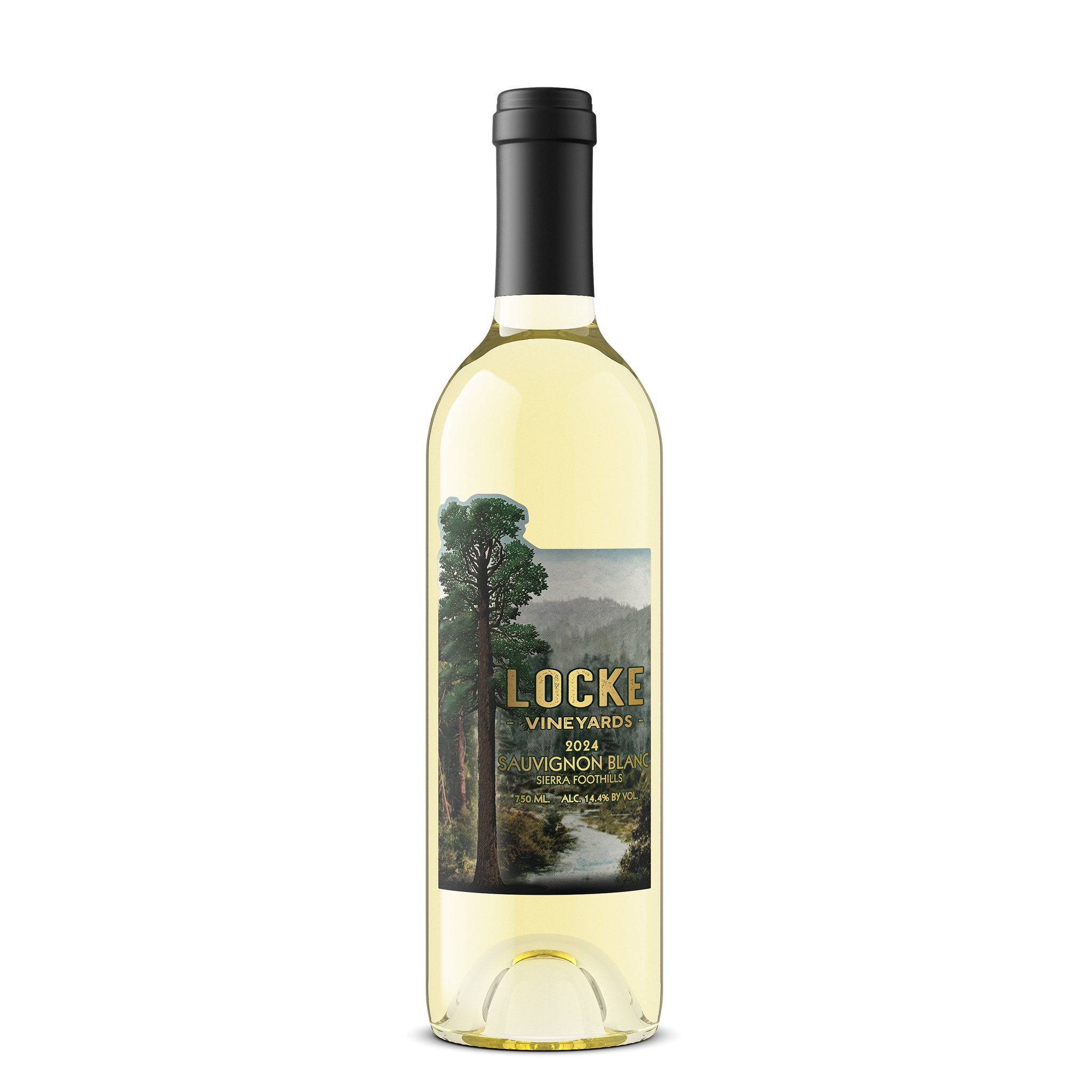 2024 Sauvignon Blanc