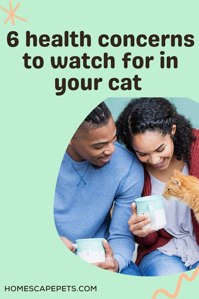 African American couple looking lovingly at an orange tabby cat and holding a coffee mug