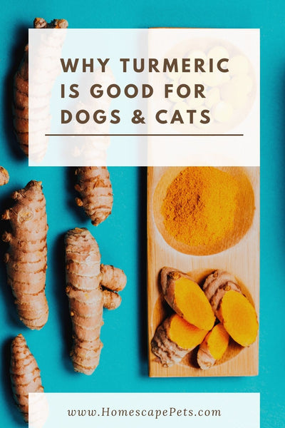 is ground turmeric good for dogs