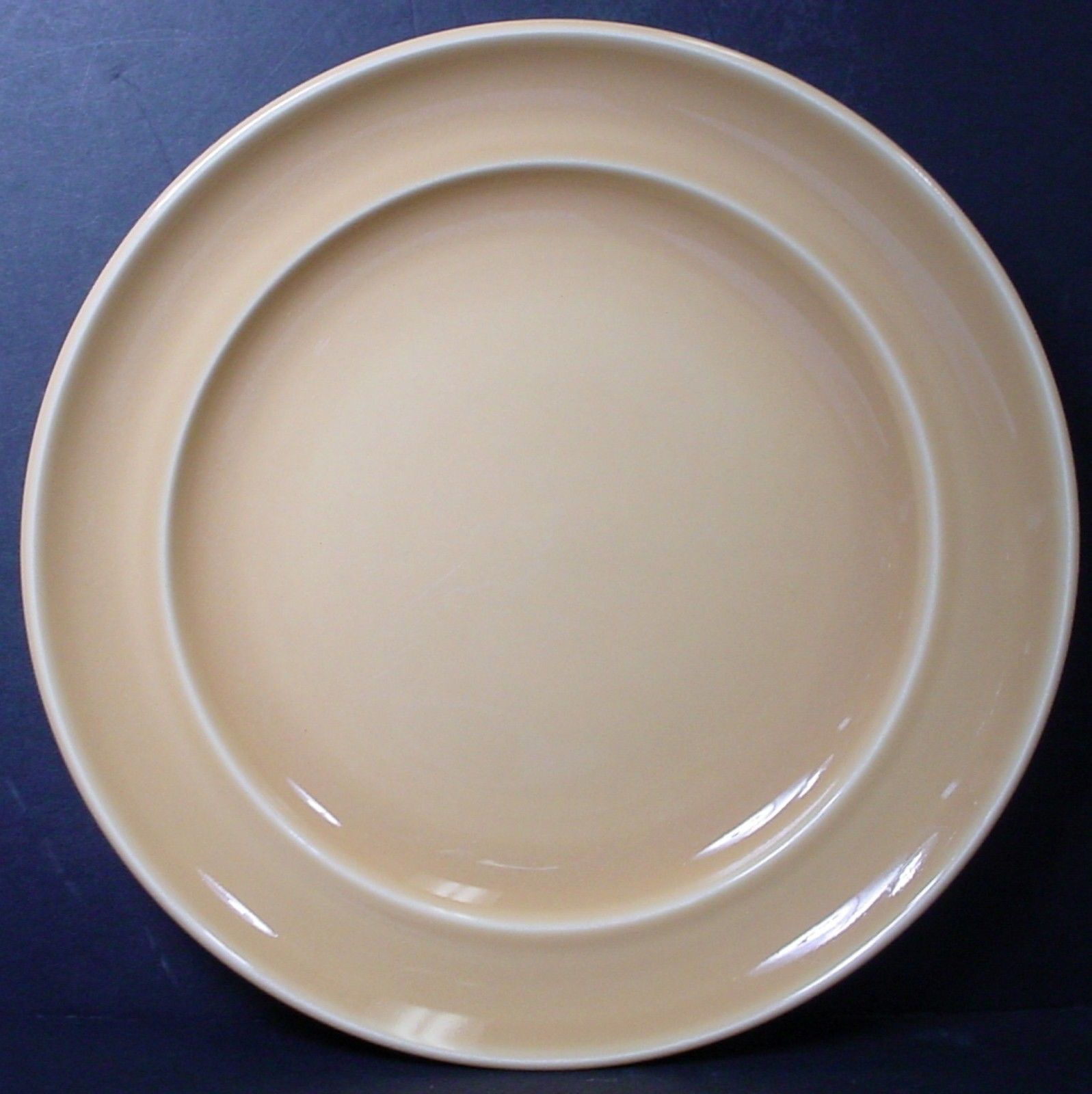 Pottery Barn China Sophia Yellow Pattern Dinner Plate 11 3 8