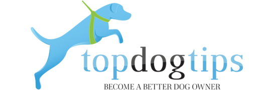 Topdogtips_logo