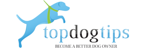 Topdogtips product review of Paws2Go