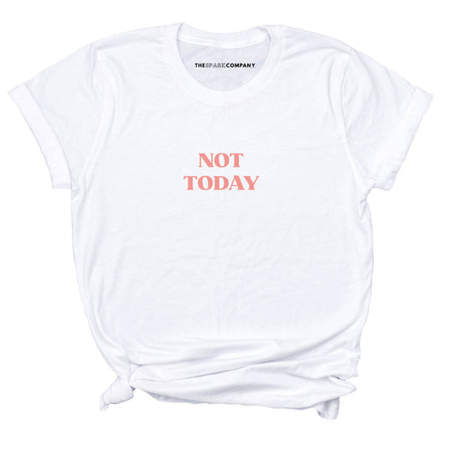 Not Today T-Shirt-Feminist Apparel, Feminist Clothing, Feminist T Shirt, BC3001-The Spark Company