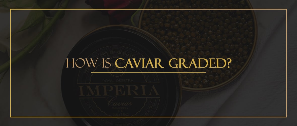 Caviar, Definition, Preparation, & Grades