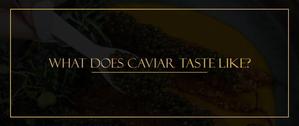 What does caviar taste like