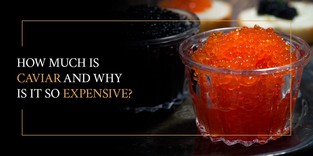 How Much is Caviar & Why is it So Expensive? – Imperia Caviar