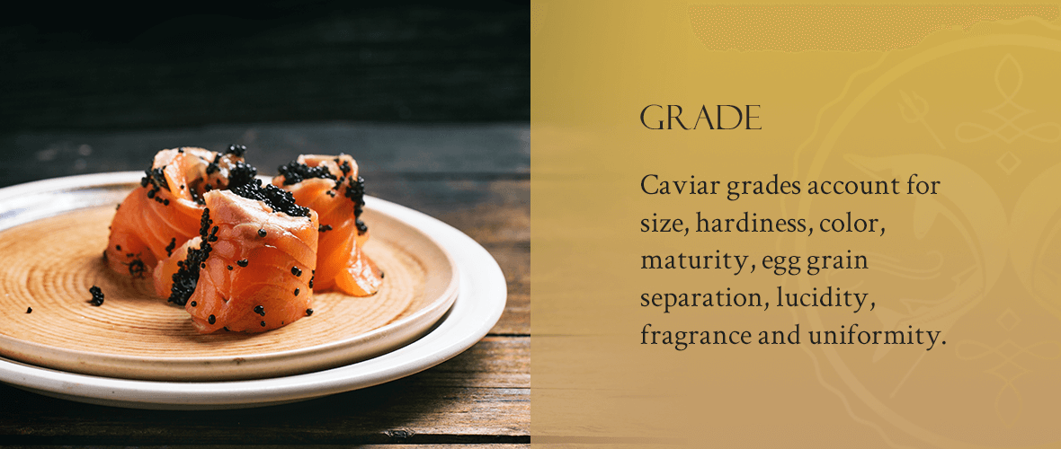 Caviar, Definition, Preparation, & Grades