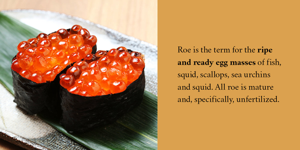 What is Salmon Roe? All About Salmon Fish Eggs – Imperia Caviar