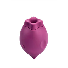 Smile Makers The Poet Clitoral Suction Vibrator