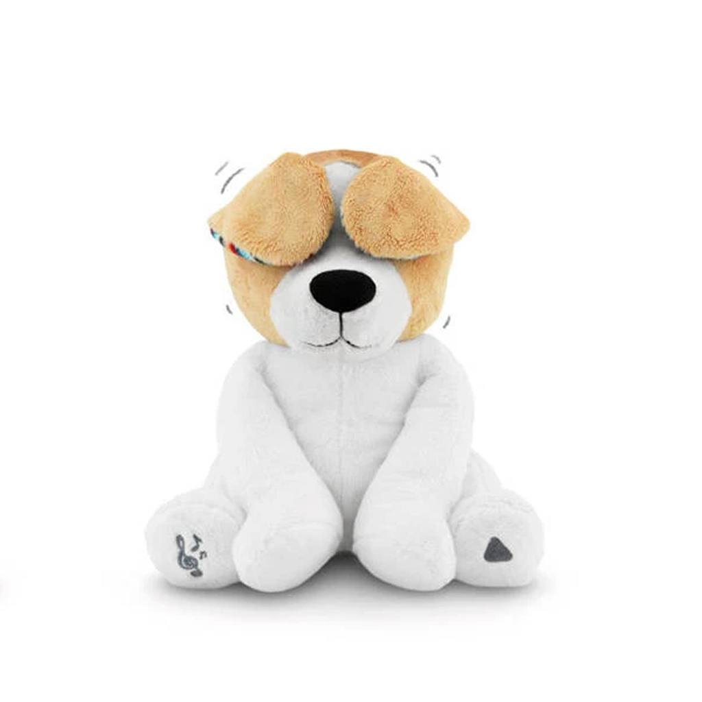 teddy toy dog