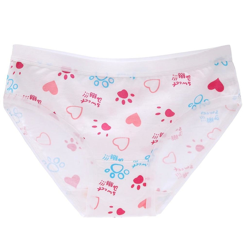 Little Briefs Kawaii Panties Undies Plus Size 3XL DDLG Playground