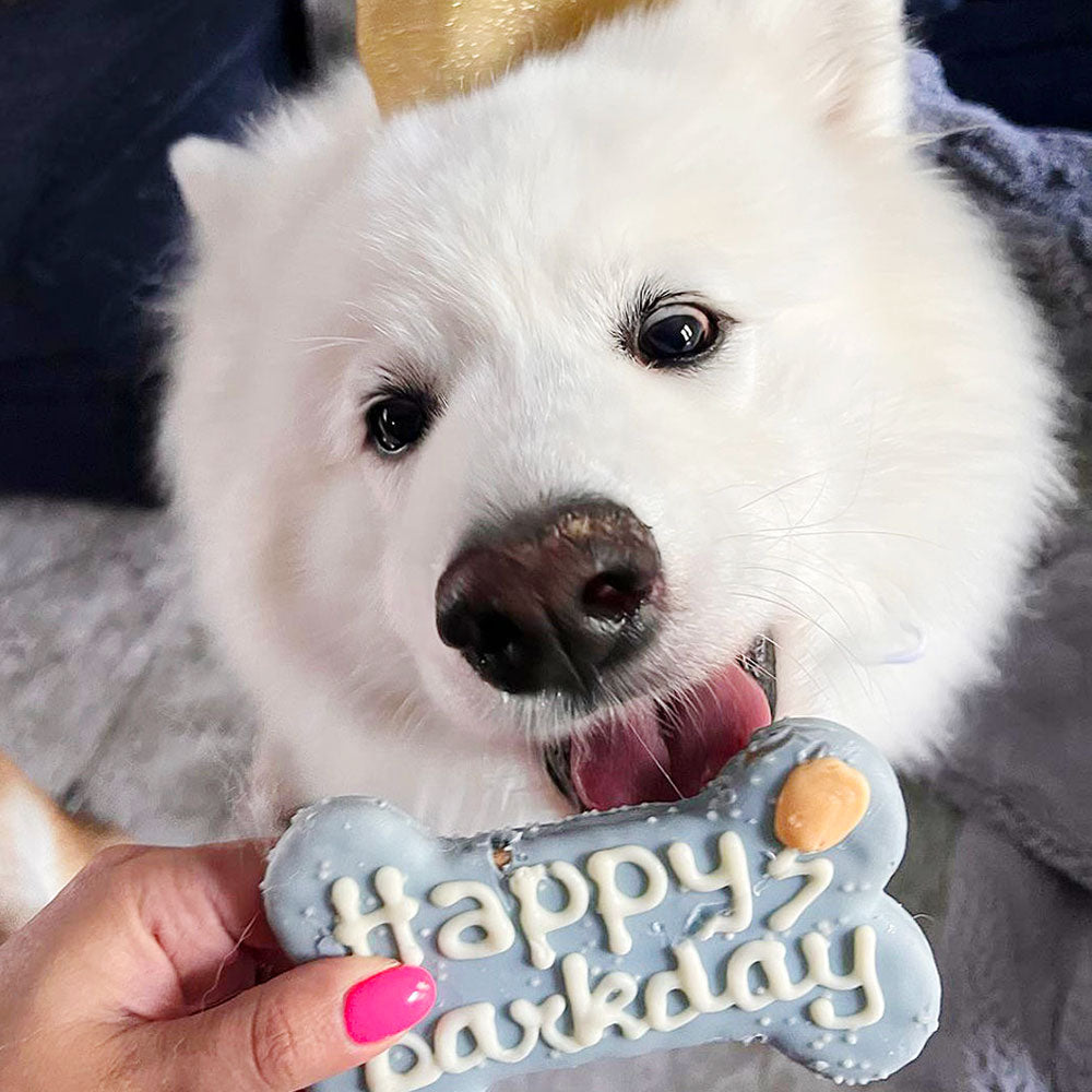can a american eskimo dog eat human cookies