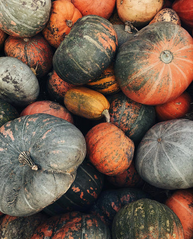 Wyoming Pumpkin patches