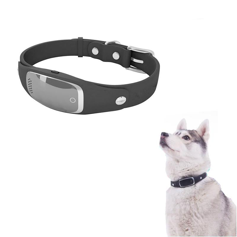 Image result for gps dog collar