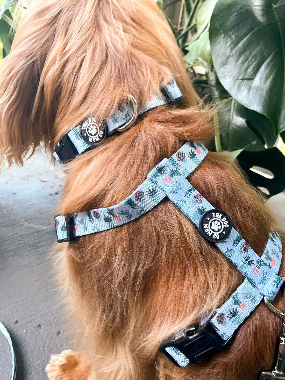 strap harness for puppies