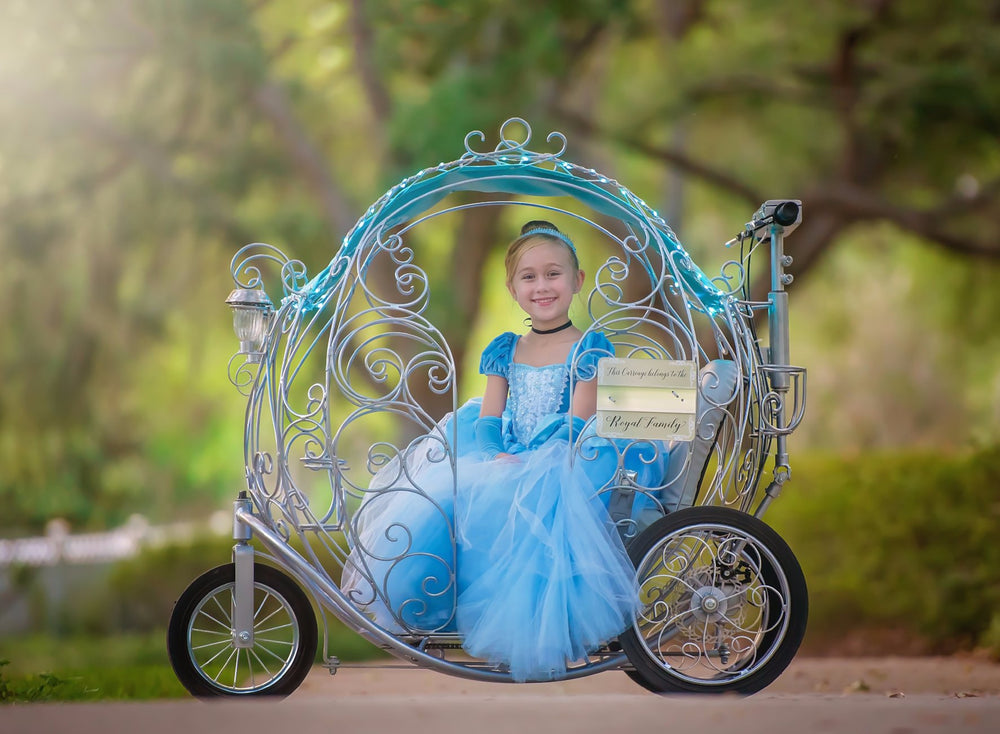 fantasy stroller rental