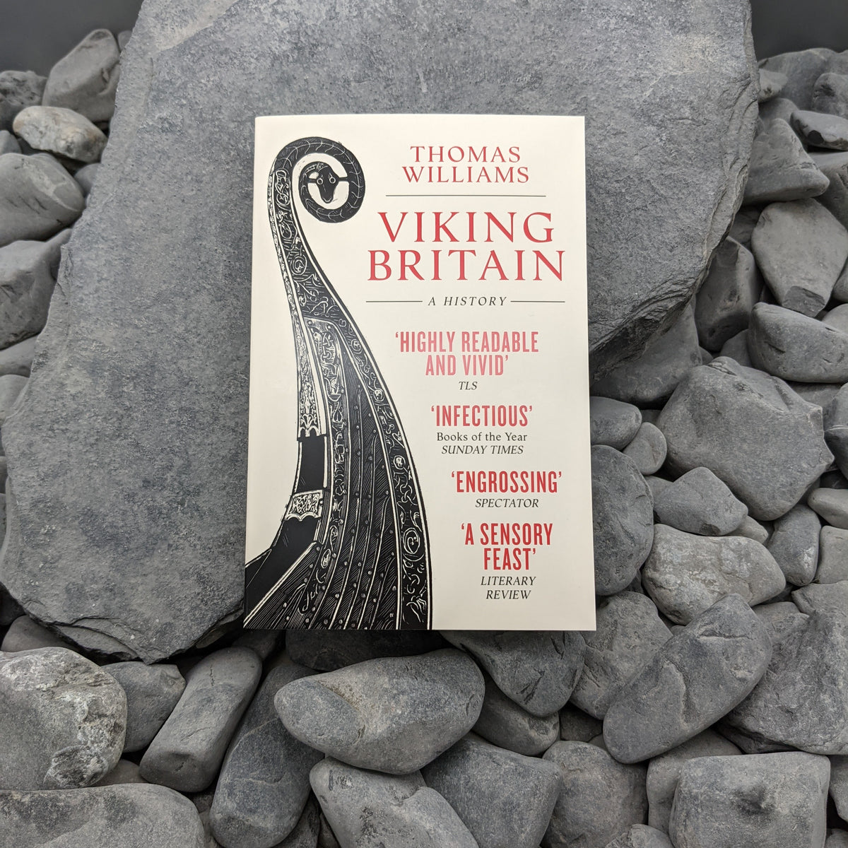 Viking Britain by Thomas Williams 