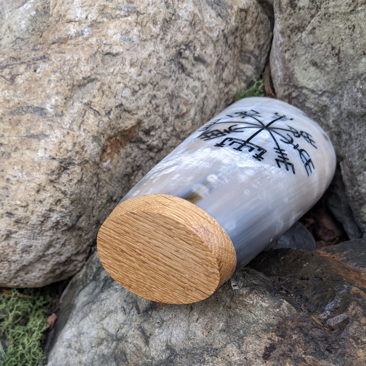 Vegvisir mug